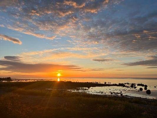 Mysig stuga 400 m från sandstranden på norra Öland - Bild 19