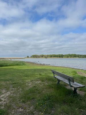 Välkommen till vår trivsamma sommarstuga i Tredenb - Bild 27