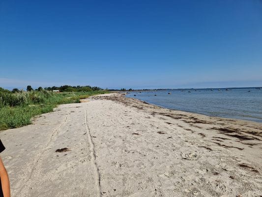 Melösaviken strand. Långgrunt.