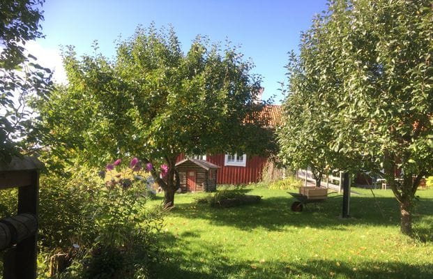Mitt i vackra Hälsingland - Bild 2