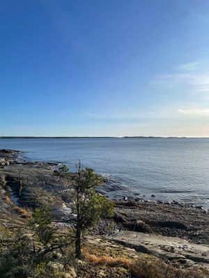 Nybyggt Attefalls hus vid Vänern med sjöutsikt - Bild 16