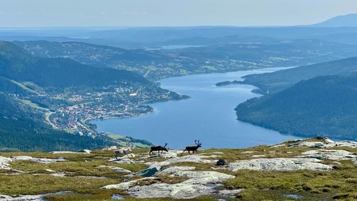 Åre by sett från Mullfjällets topp