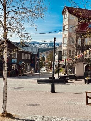 Åre by - gångavstånd från Åre View. Stort utbud av mysiga restauranger och bra shopping.