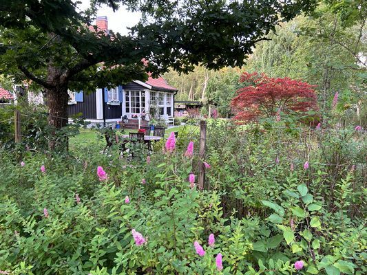 Strandnära i Havsbaden Ängelholm - Bild 11