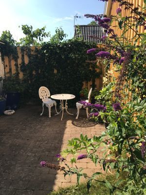 Charmigt gammalt sommarhus med trädgård i Torekov - Bild 3