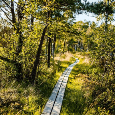 "Bo i ett varsamt bevarat 1600-talshus. - Bild 16