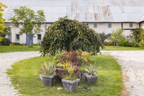 lyxig stuga i Kräklingbo på Channel 1 gård - Bild 21