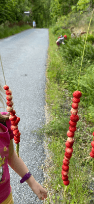 Idyllisk Skärgårdsstuga med milsvid havsutsikt - Bild 20