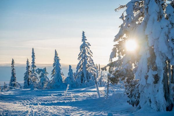 Lillnästet – Mysig fjällstuga i Klövsjö - Bild 21