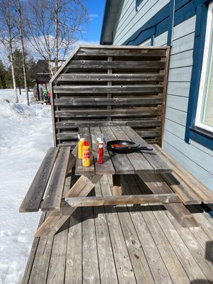 Kläppen SKI IN/SKI OUT 30m till lift - Bild 9