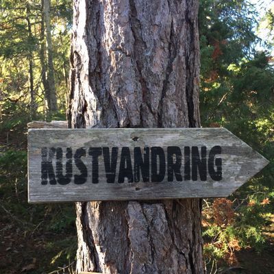 Sommarstuga Lickershamn - Bild 26