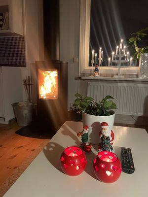 Fjällstuga med kamin & bastu - Bild 19