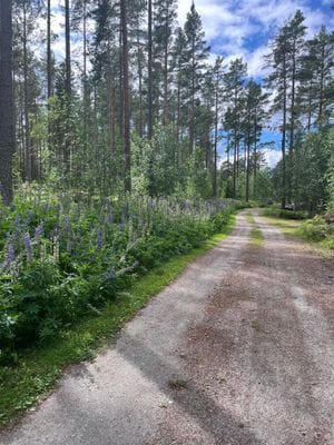 Idylliskt sommarhus på ö i skyddad skärgårdsmiljö - Bild 27