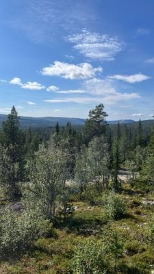 Mysigt Fjällstuga för den lilla familjen - Bild 17