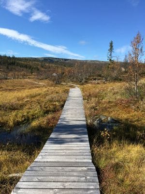 Mysigt Fjällstuga för den lilla familjen - Bild 18
