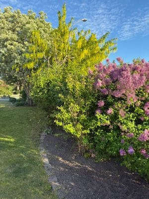 Hus att hyra i Visby - Bild 19