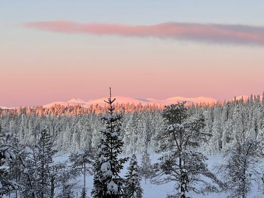 Genuin & modern fjällstuga i Björnliden/Grövelsjön - Bild 32