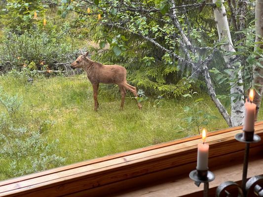 Genuin & modern fjällstuga i Björnliden/Grövelsjön - Bild 10