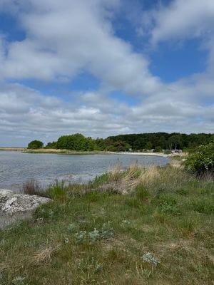 Välkommen till vår trivsamma sommarstuga i Tredenb - Bild 29