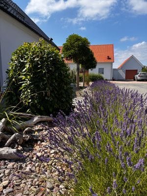 Gästhus, The Crib - Bild 4