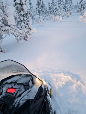 Stuga i Högvålen, Sveriges högst belägna by - Bild 10