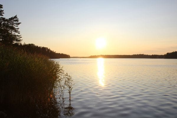 Roslagen stuga – 1 timme från Stockholm - Bild 15
