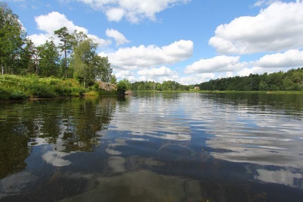 Roslagen stuga – 1 timme från Stockholm - Bild 16