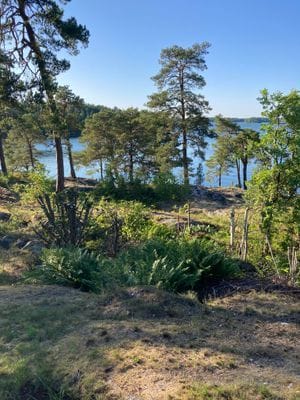 Furusund strandtomt mysigt hus och tomt - Bild 6