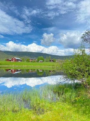 Smedjan Långå - Bild 20