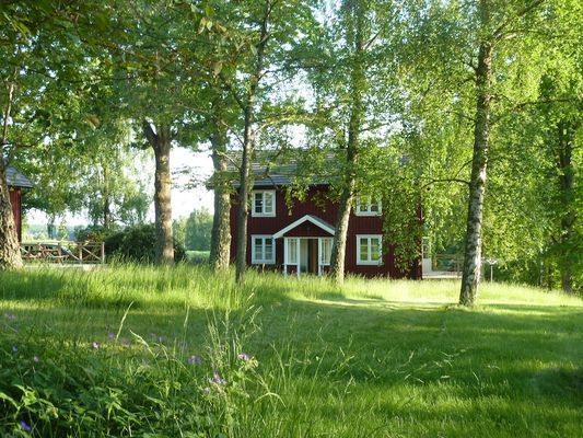 TRÄDGÅRD SIDAN AV STUGAN