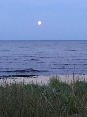 Njut av vackra Åhus - Bild 31