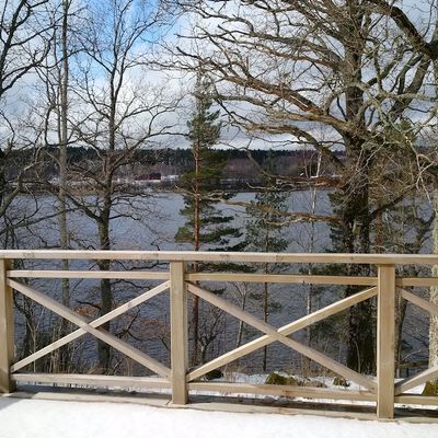 ALTANEN OCH SJÖN UNDER VINTERN