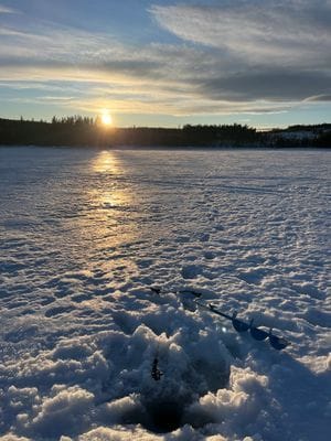 Rejäl off‑grid timmerstuga vackert belägen vid sjö - Bild 22