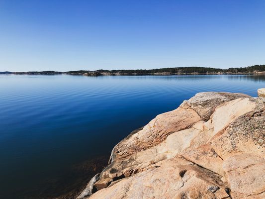 Svanviks naturreservat