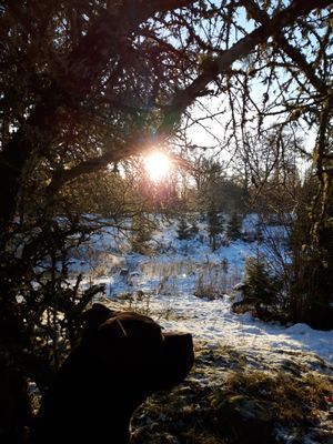 Naturskön och lantlig idyll mellan sjöar. - Bild 66