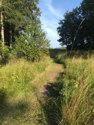 Stort sjöställe i Stockholms skärgård - Bild 6