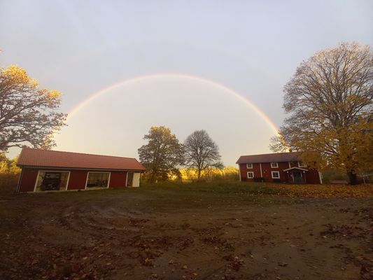 Gård från 1790 vid sjö – helt avskilt läge - Bild 11