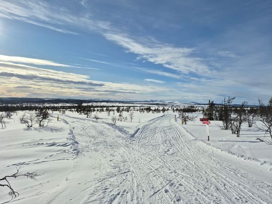 Egentagen bild från solgroppen 1,2km från spårcentralen skidor, cykel eller promenad
