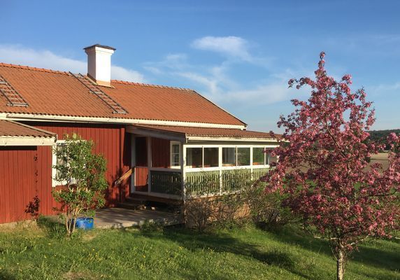 Mitt i vackra Hälsingland - Bild 2