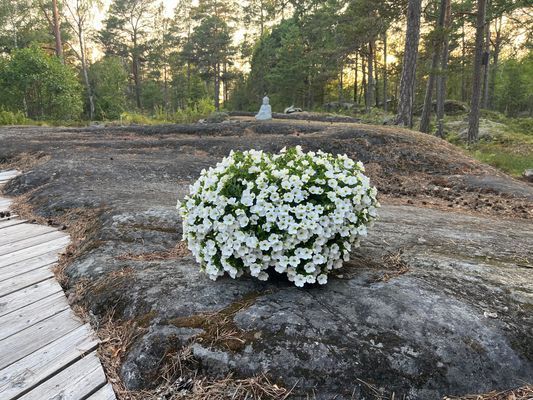 Charmig västkuststuga med närhet till havet - Bild 18