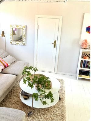 Mysigt hus i kyrkby nära Vänern - Bild 26
