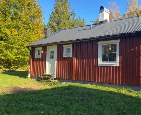En pärla mitt ute i skogen intill en sjö. - Bild 7