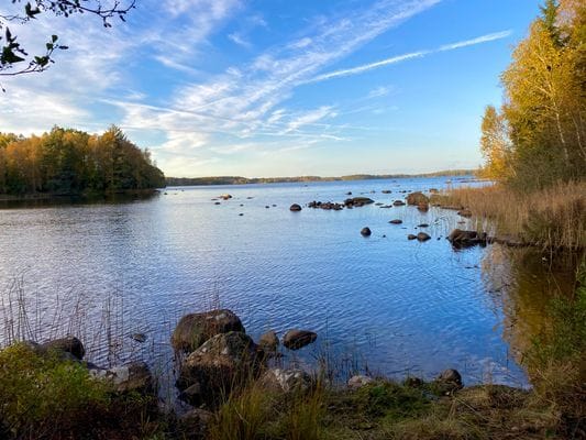 En pärla mitt ute i skogen intill en sjö. - Bild 2