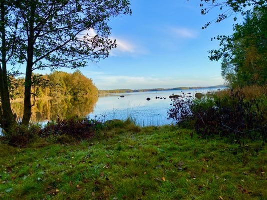 En pärla mitt ute i skogen intill en sjö. - Bild 6
