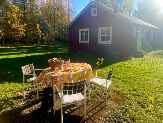 En pärla mitt ute i skogen intill en sjö. - Bild 4