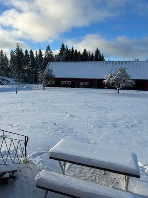 Liten gård - Bild 7