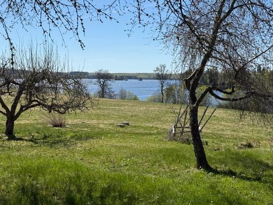 Gård vid sjö med egen bad & båtplats - Bild 22