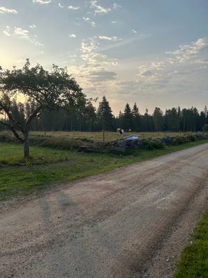 Liten gård - Bild 8