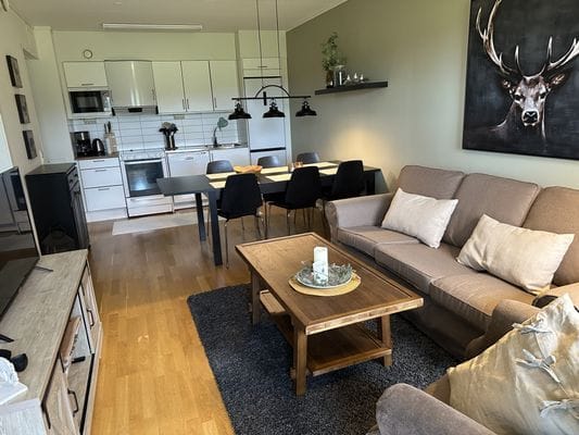 Lägenhet med Wifi på entréplan i Ljusnedal - Bild 14