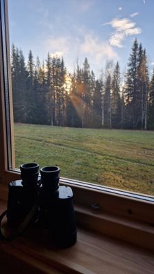 Cabin i Rentjärn - Bild 10